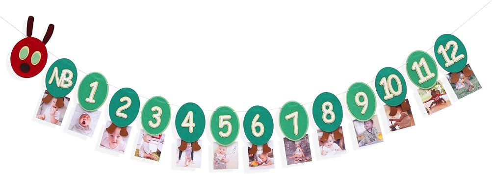 Caterpillar First Year Photo Banner - Hungry Caterpillar 12 Month Decoration, Fruit Theme First Birthday Party, Newborn Monthly Milestone Photo Flag, 1 To 12 Months Birthday Decorations