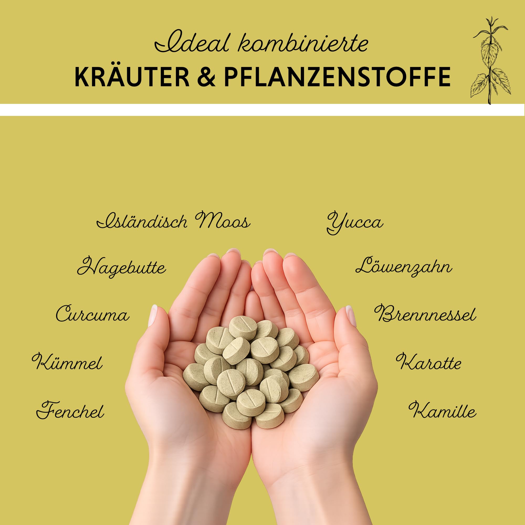Annimally Gras- & Kotfresser Tabletten für Hunde - Unterstützen Verdauung & Magen-Darm-Flora, mit Probiotika, Ballaststoffen & Pflanzenstoffen, 120 Stück