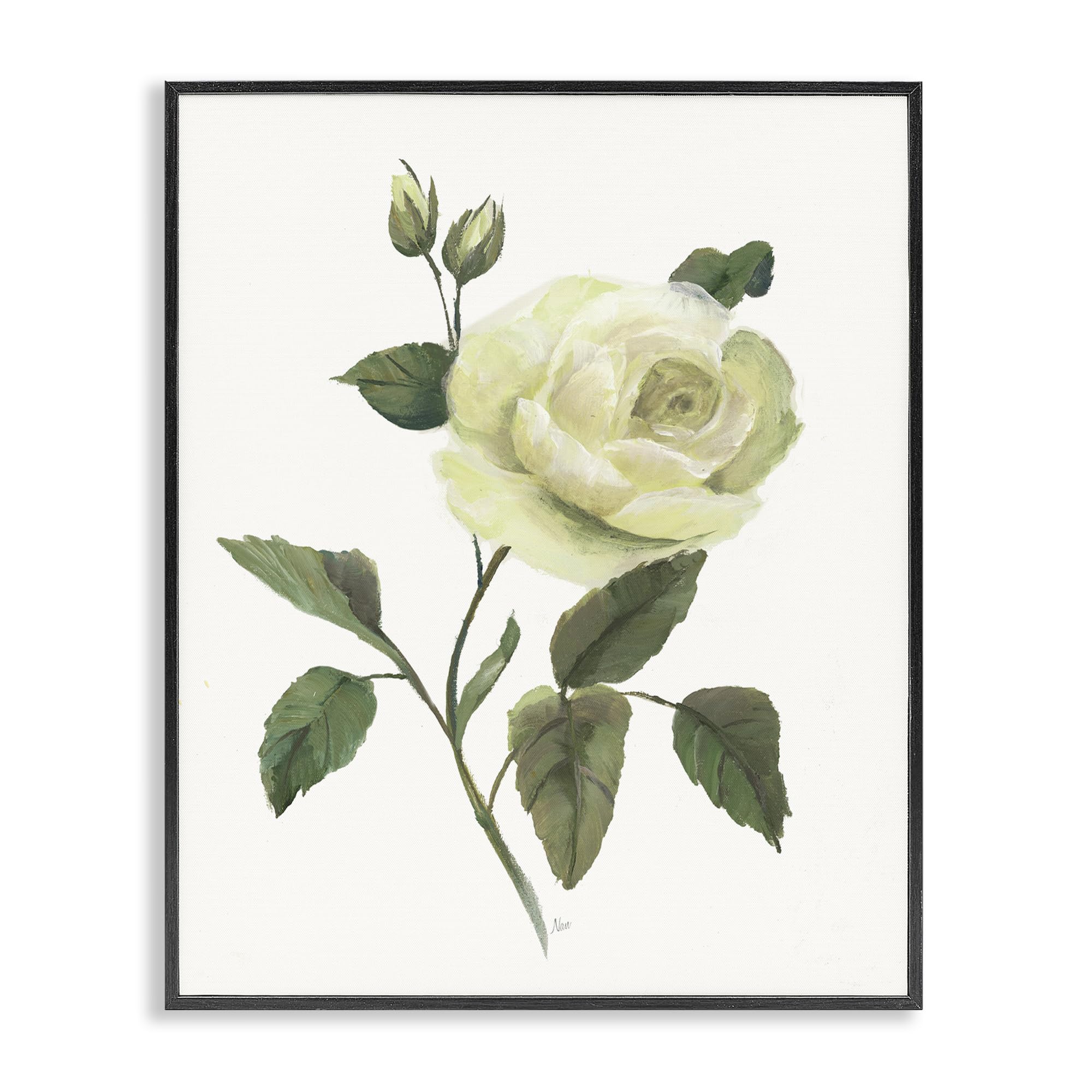 Stupell Industries Cream Garden Rose Buds 'Cream Garden Rose With Buds', Framed Giclee Art, Black, 24 X 30 Inches, Easy To Hang And Sturdy, Made In Usa, By Nan