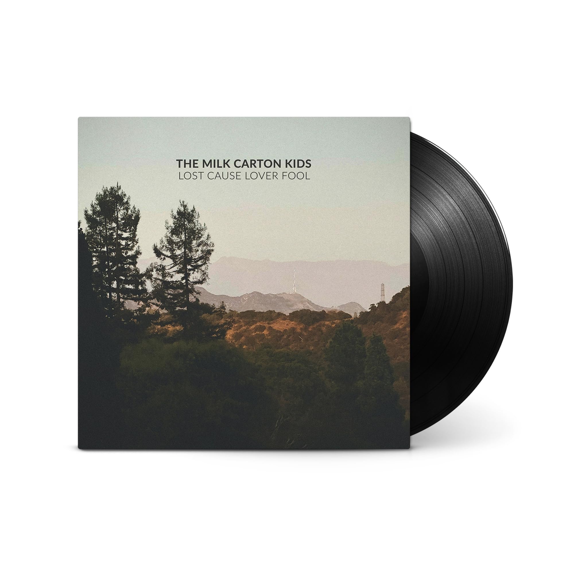 Lost Cause Lover Fool [VINYL]