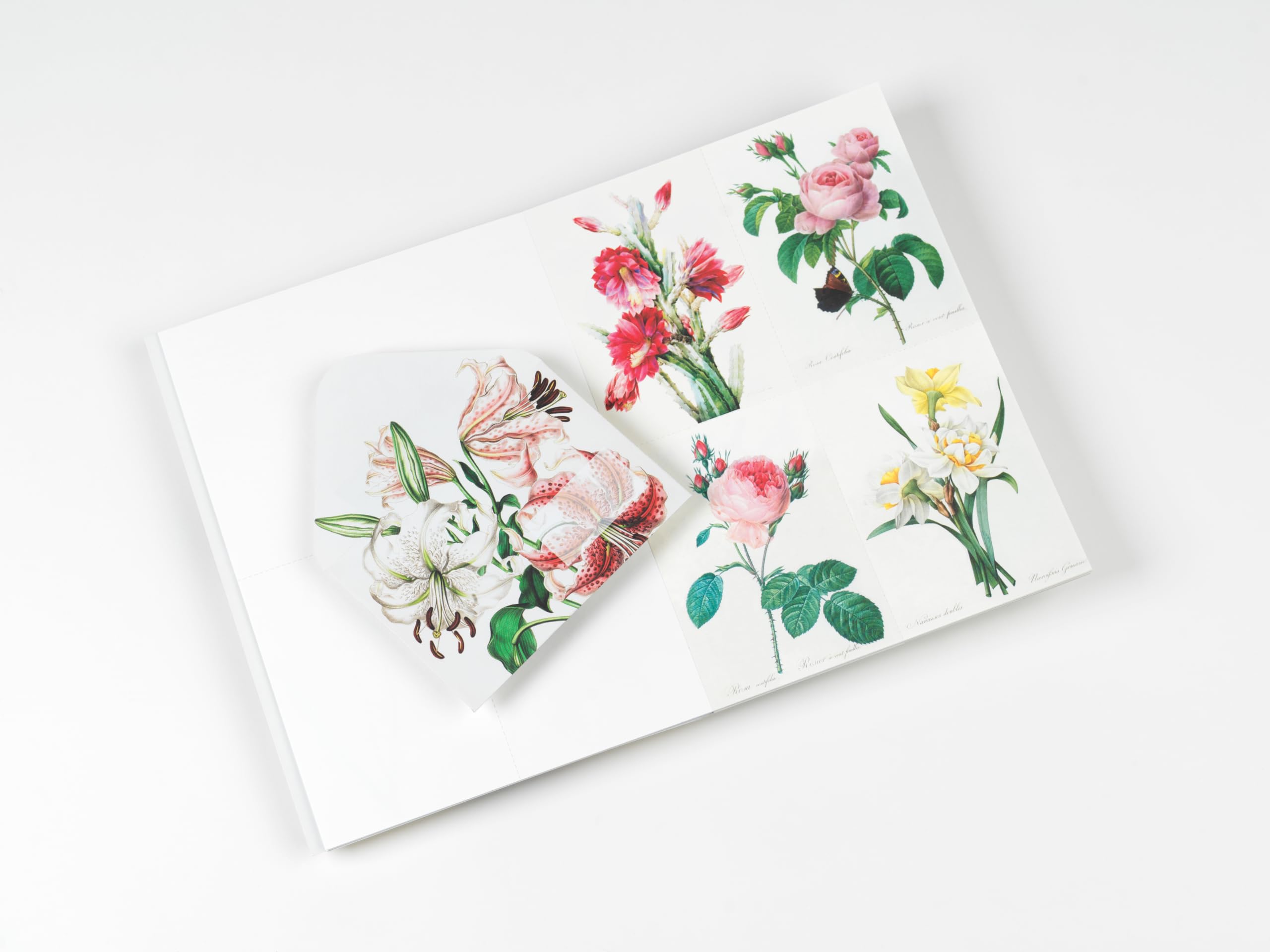 Flowers: Creative Paper Book
