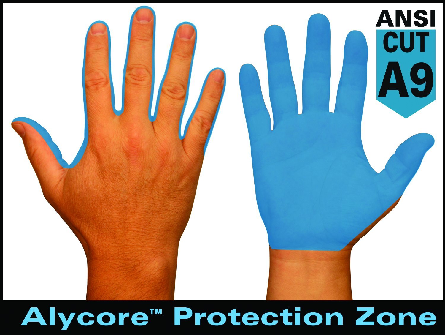 Cut Resistant Gloves,A9,M,PR