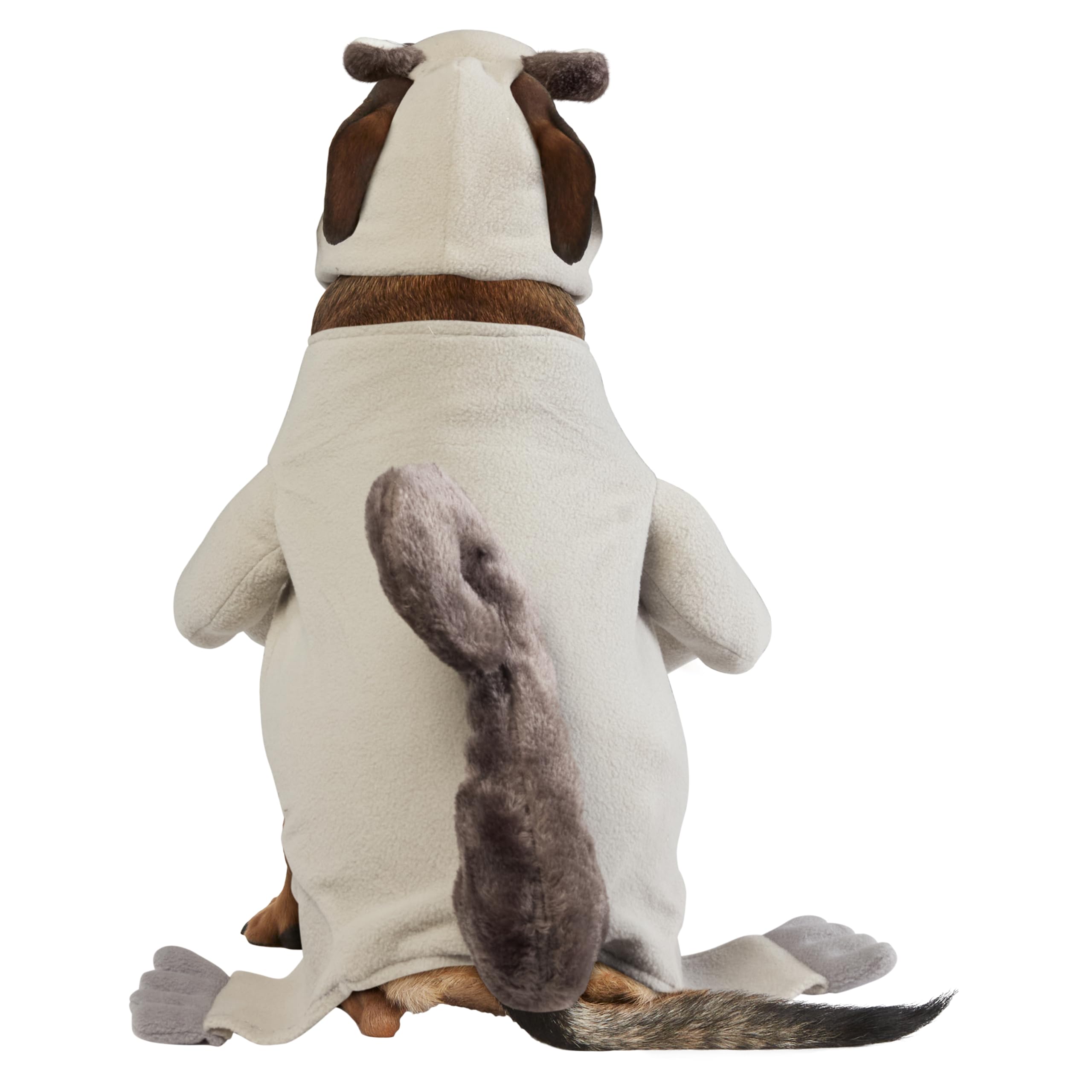Rubini Costume Company Squirrel Pet Costume