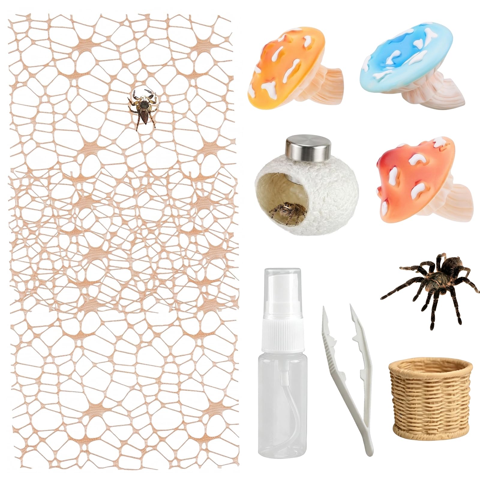 9 Pcs Jumping Spider Enclosure Accessories Set for Exploration Climbing