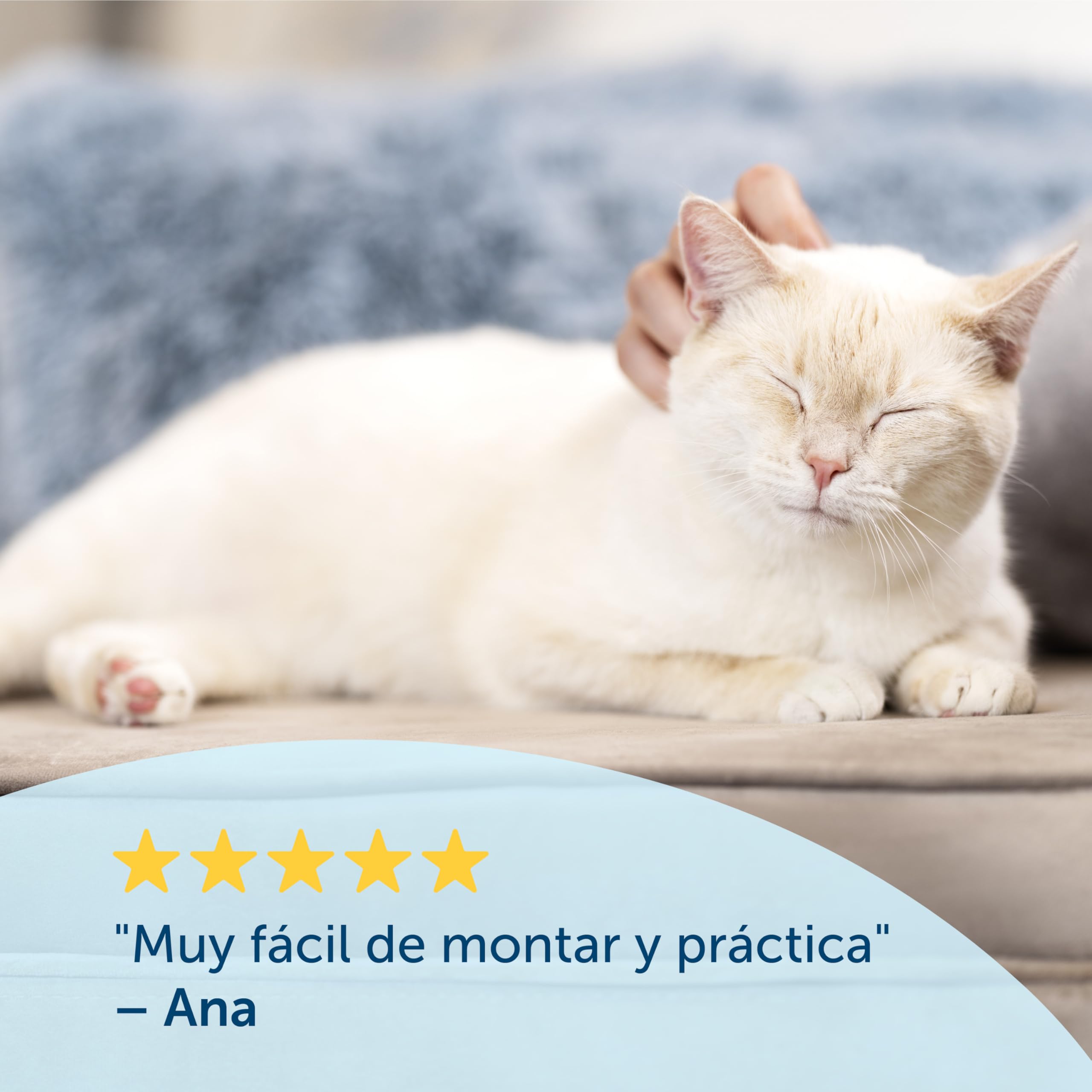 PetSafe Staywell Classic, Gatera con 4 Posiciones de Cierre, Gatera de Entrada y Salida, Instalación Fácil, Resistente, para Gatos hasta 7 Kg, con Túnel, Blanco