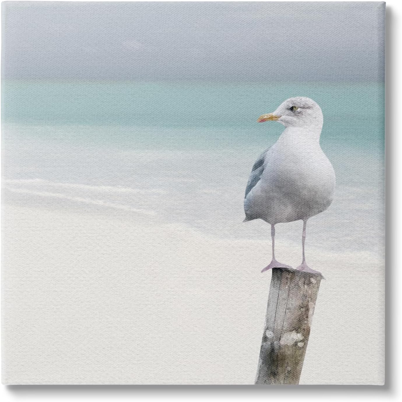 Stupell Industries Seagull Perched by Shore Canvas Wall Art by LSR Design Studio