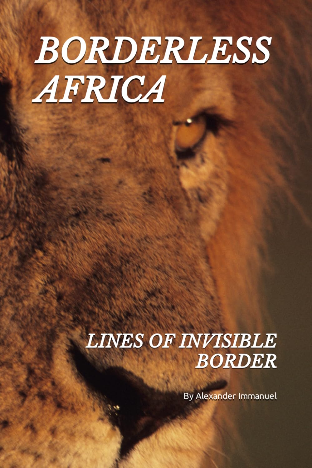 BORDERLESS AFRICA: LINES OF INVISIBLE BORDER