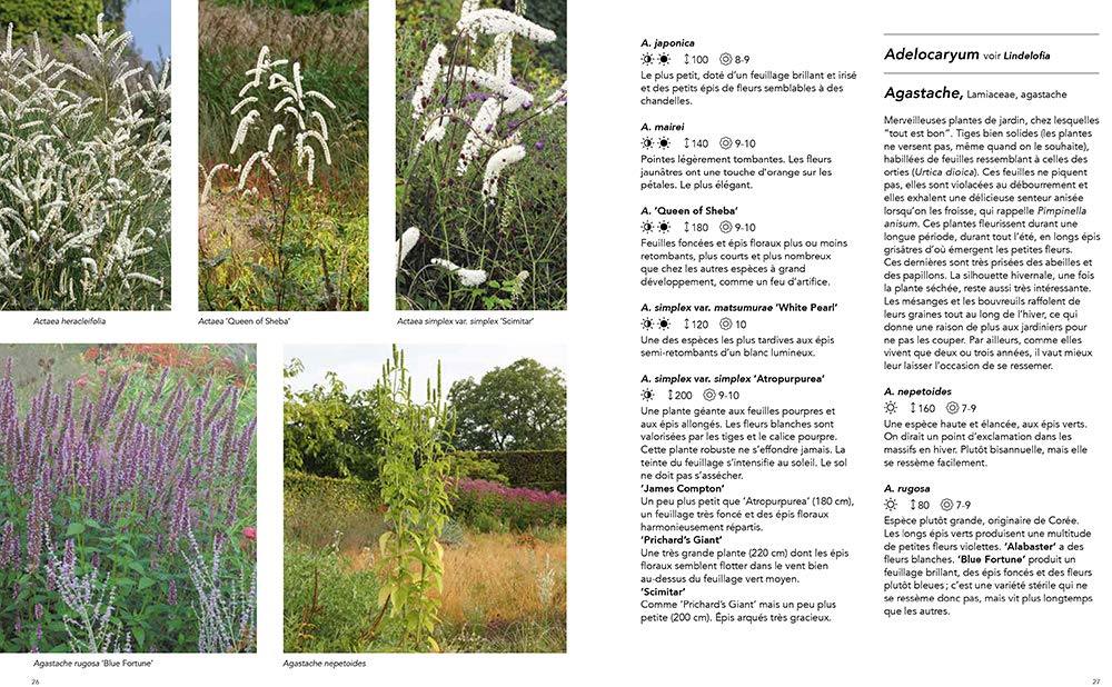 Jardins naturalistes - Les meilleures plantes vivaces