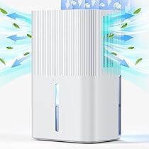 Deumidificatore da 2,7L per la casa, deumidificatore elettrico per la camera da letto, silenzioso e con comandi touch, deumidificatore per il bagno(bianco1100 ml, 24 h)