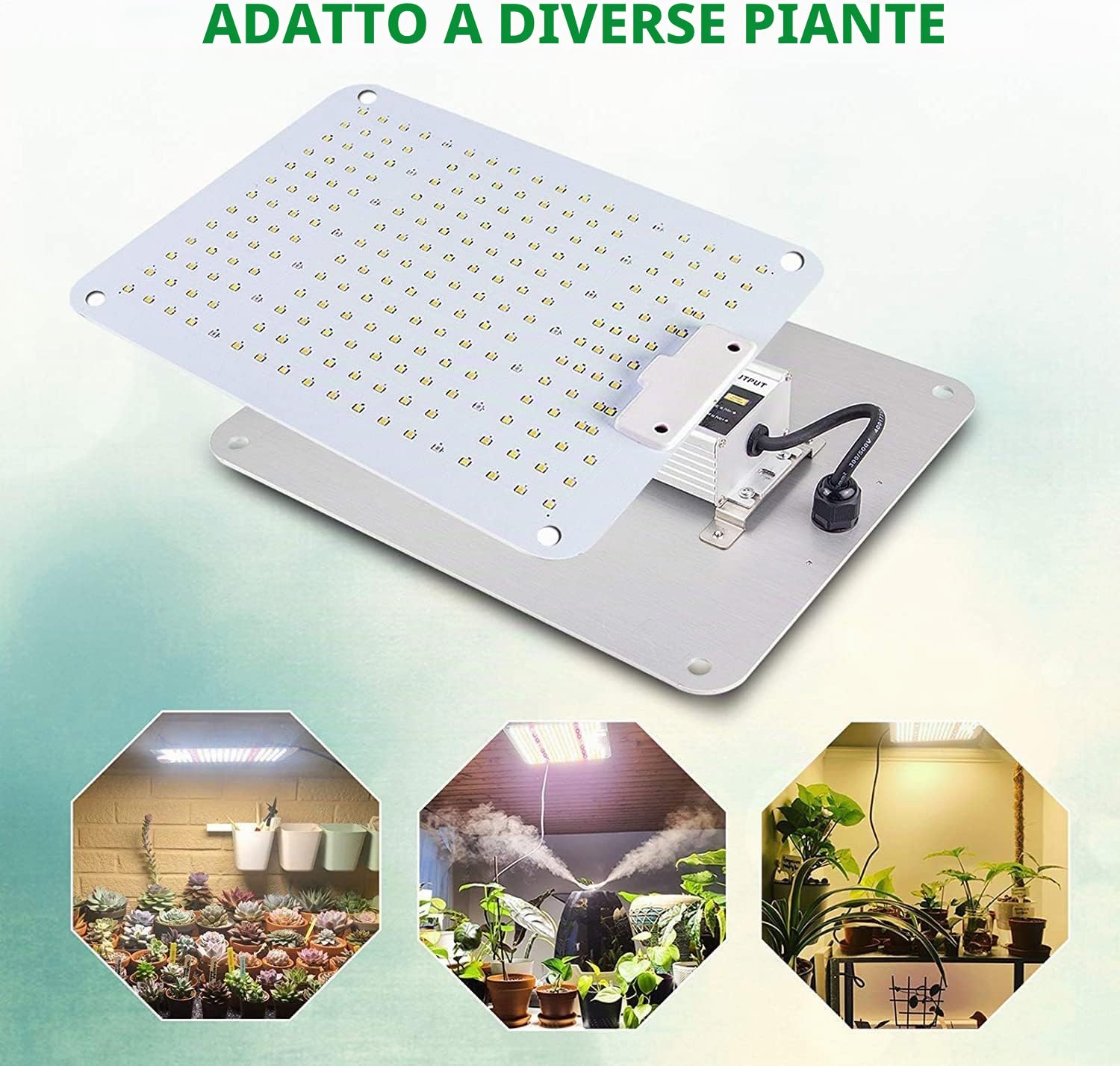 COKOLILA LZB1000 Lampada per Piante con Dimmere, Grow Light Full Spectrum 222 LED con IR per Interni, per Tutto il Ciclo di Vita (Semina, Crescita, Fioritura), Copertura 60x60cm