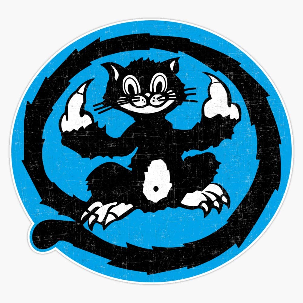1970年代　USAF U-2 戦略偵察飛行隊　ブラックキャット スカジャン古着 Amazon.com: Usn Black Cat Composite Squadron Vc-13 - Wwii Sticker
