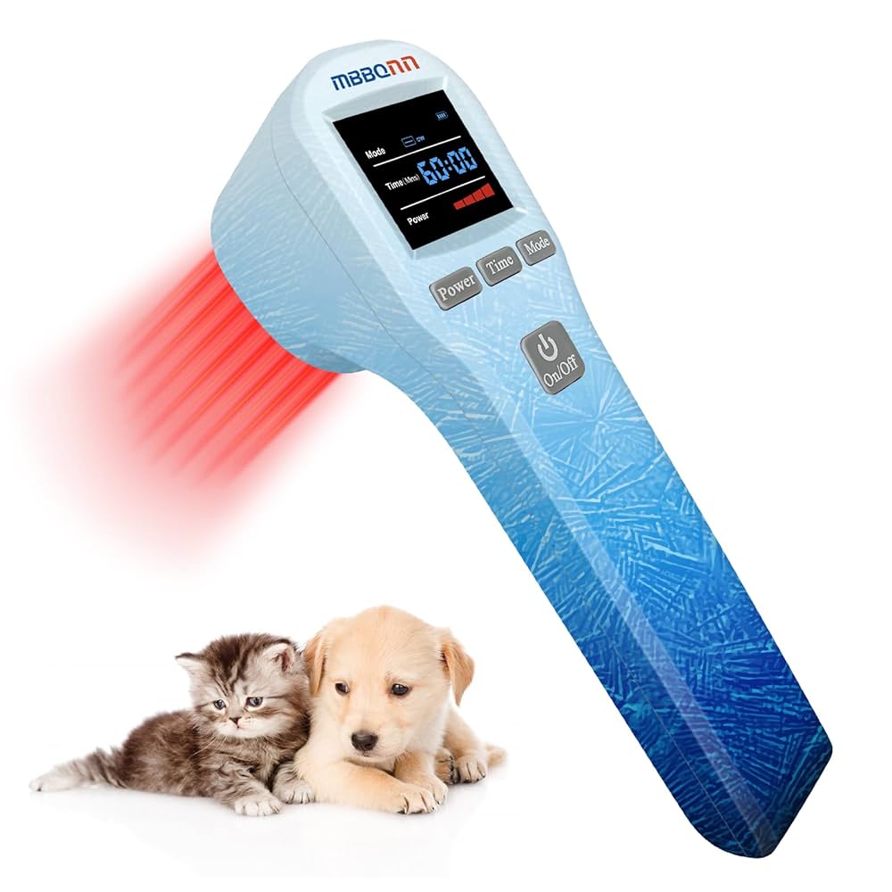 Laser Therapy for Dogs at Home: Safe Relief for Pain