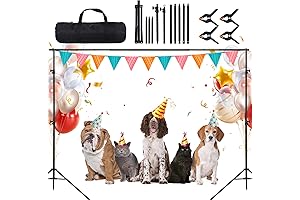 Sturdy Maxztill Backdrop Holder Stand Solution For Your Studio Needs