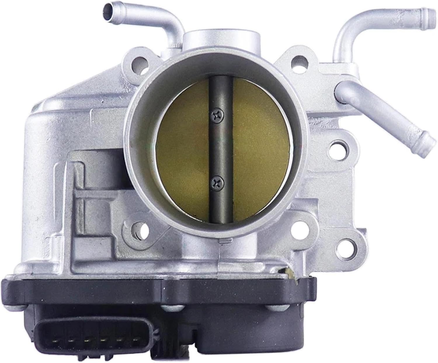 ヴィニャーレスViales隕石コンドライトCondriteメテオライト1.5KG