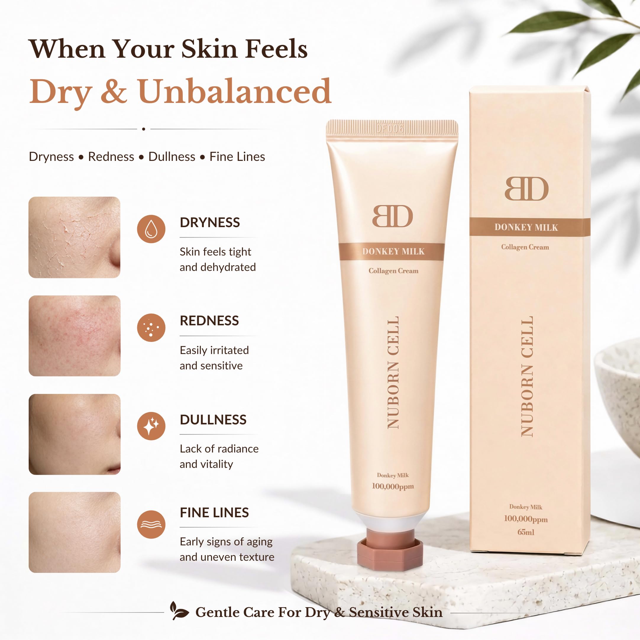 Nuborn Cell Donkey Milk Collagen Cream with Type 1 Collagen