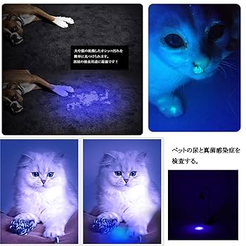 ソンジャ ネイルライトブラック Amazon.co.jp : サンパーシー ブラックライト 掃除 ジェルネイル