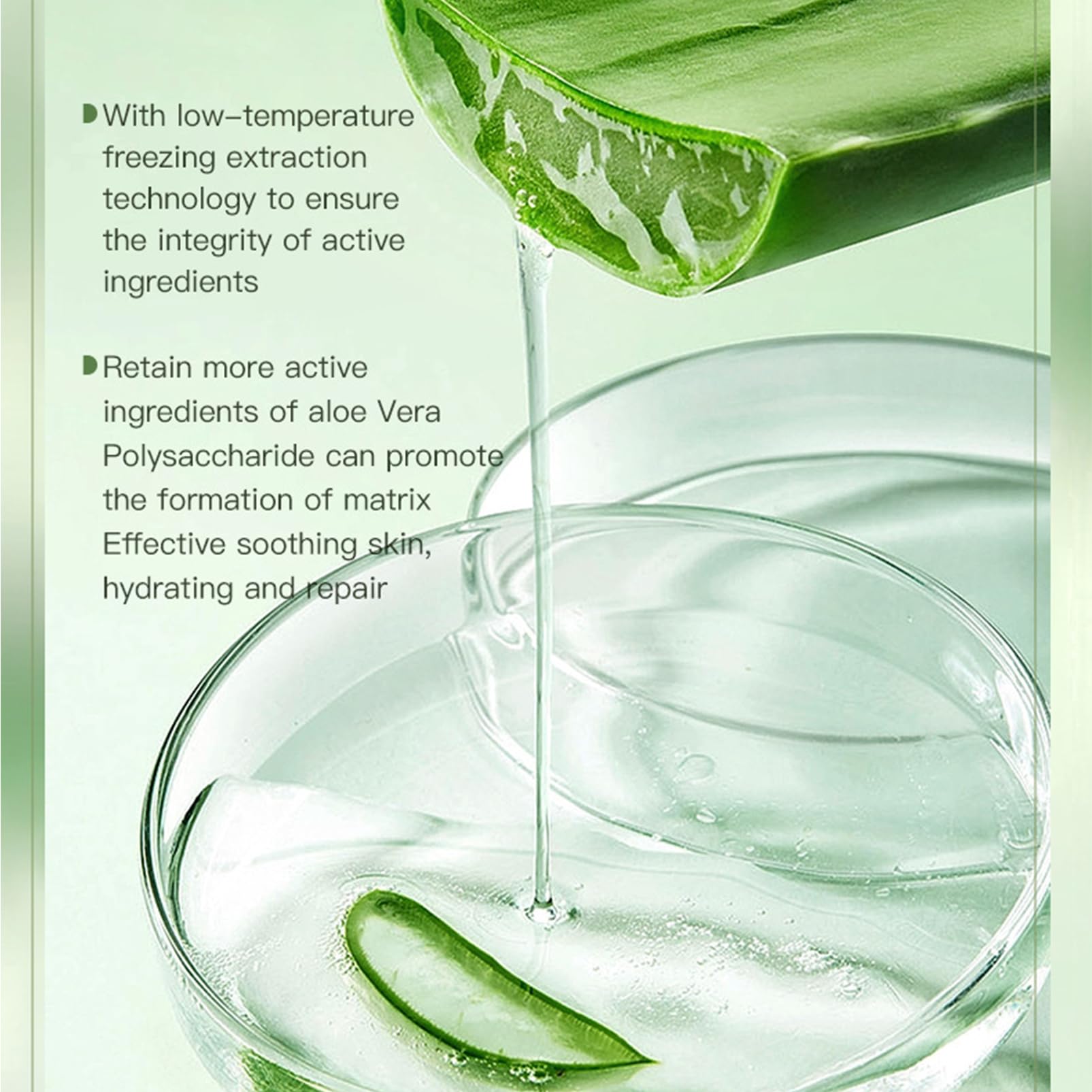 Maschera viso all'aloe vera, maschera idratante per il viso, aloe veraaloe  vera, maschera idratante viso per ragazze e donne  rinfrescante e profonda  pulizia : Amazon.it: Bellezza