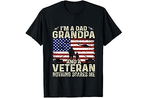 I'm A Dad Grandpa And Veteran Shirt