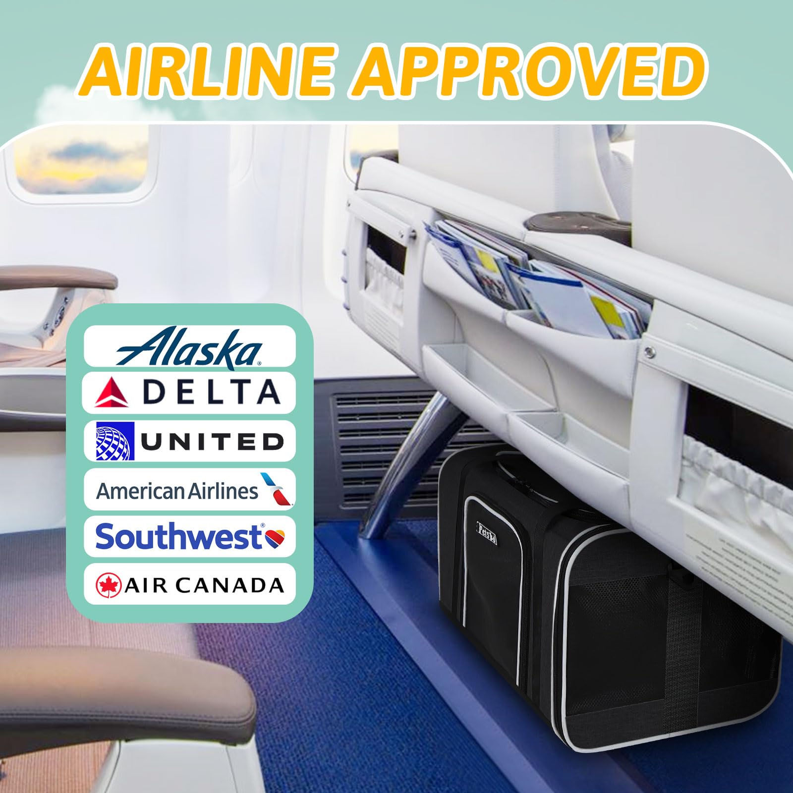 Best alaska airlines pet shipping 2025