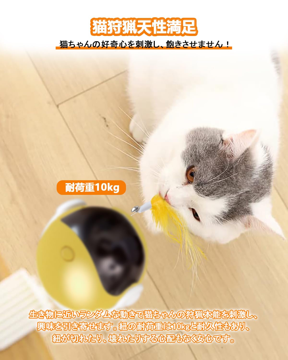 Amazon | 【人気新登場】猫 おもちゃ 自動 猫じゃらし 電動