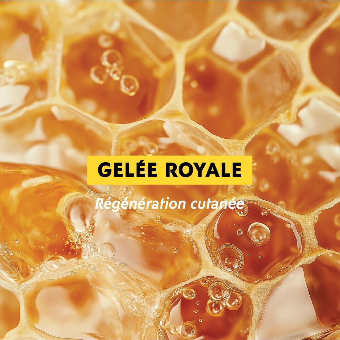 Alvadiem | Crème Réparatrice Mains et Ongles à la Gelée Royale Bio | Nourrit, Répare, Assouplit Peaux Très Sèches | Beurre de Karité, Miel d'Acacia Bio | Fabriquée en France, 98% Naturel | 50 ml