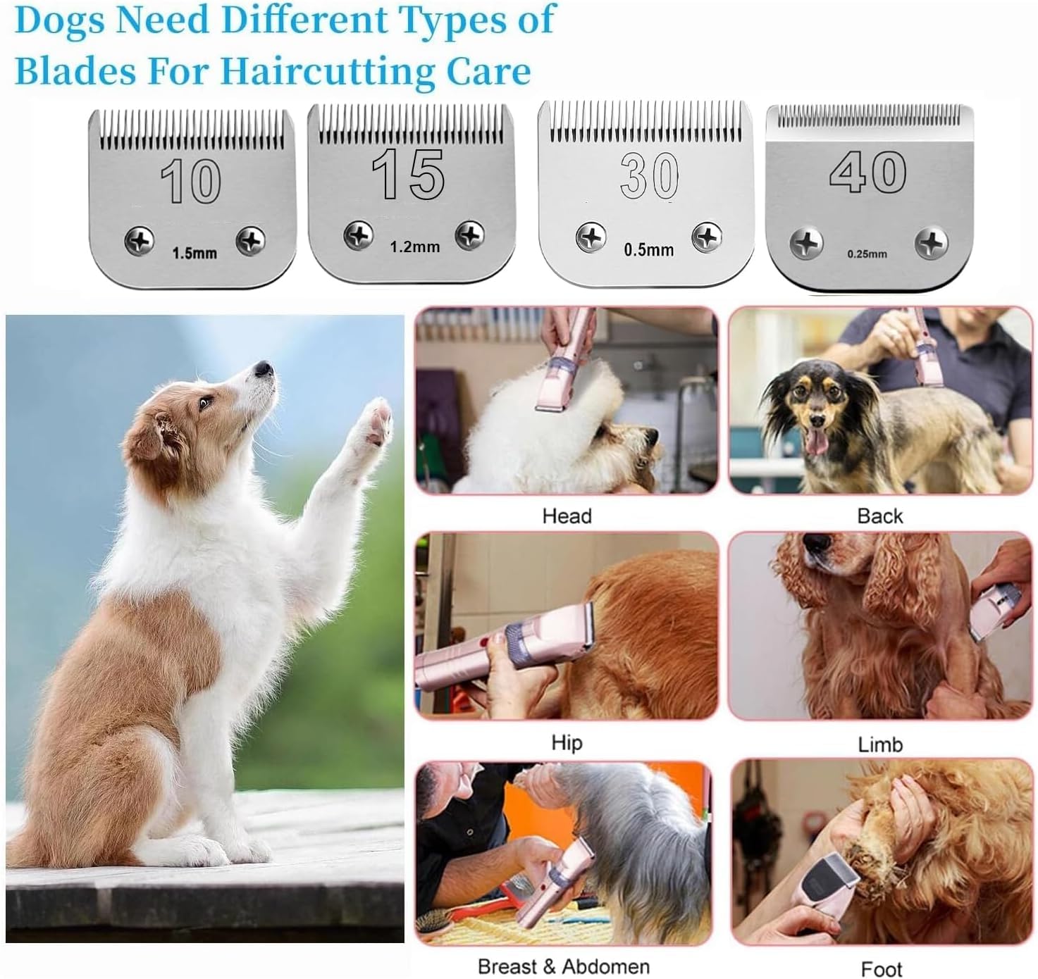 Blade Lengths For Dog Grooming, Explained, 40 OFF