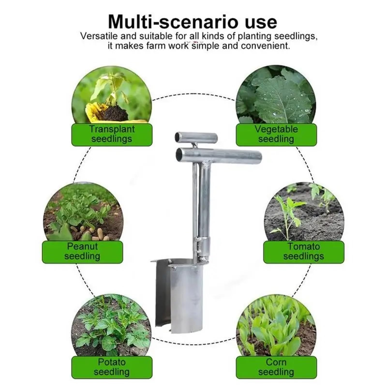 Seed dispenser Strumento multifunzionale per piantare bulbi da semina portatile trapiantatore per piantine a estremità aperta per l'agricoltura Piantatore