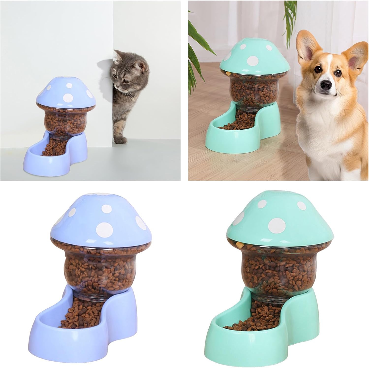 gafereview of the Automatic Pet Feeder in blue and green, suitable for cats and dogs.