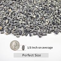 Vista 2 de Grava para suculentas y cactus de 10 libras, guijarros pulidos decorativos naturales de 1/5 pulgadas para paisajismo, rocas de río gris