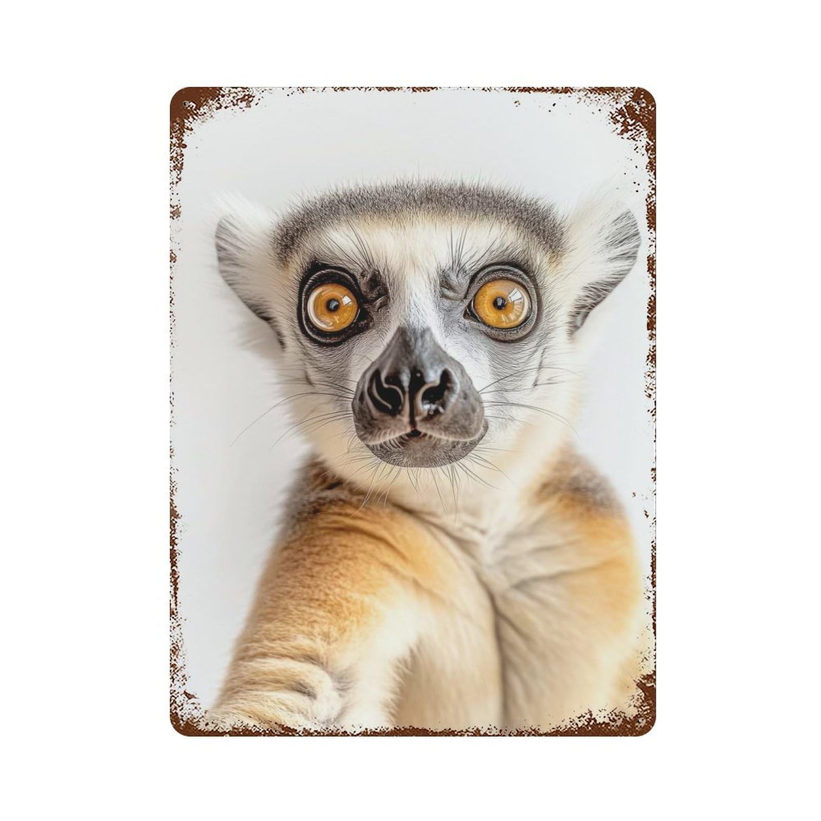 Vintage Metal Tin Sign with Curious Ring-tailed Lemur Selfie Design 15.7"x11.8", for Living Room, Hallway And Home Decor, Retro Wall Decor