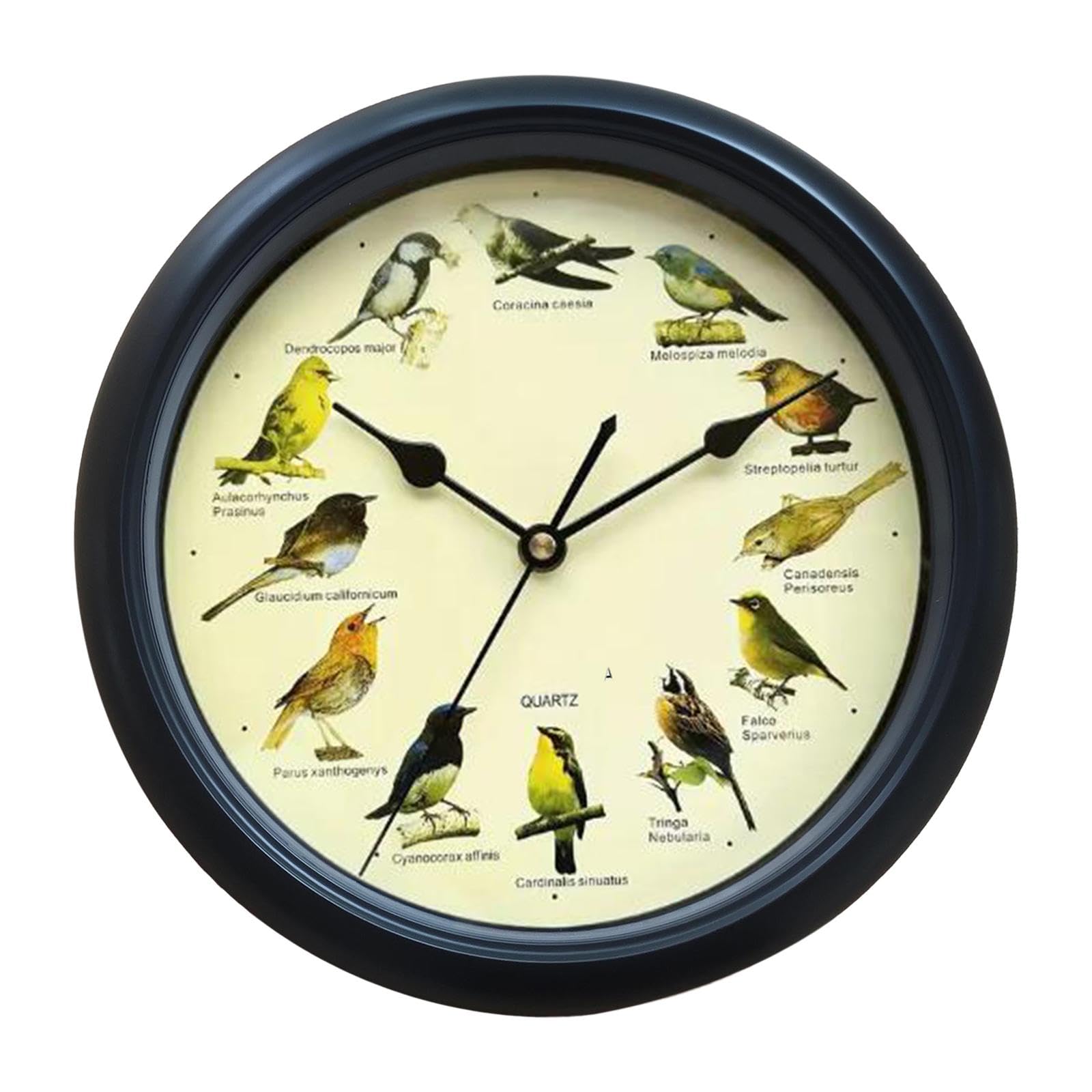 Amazon.co.jp: WeiLaiKeQi さえずる鳥の壁時計家の装飾