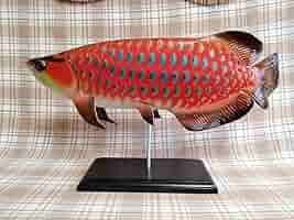 【美品】40cm アロワナ ピンク（樹脂製）fish craft REAL製作 アロワナ フィギュア 魚 置物 立体・オブジェ fish craft REAL