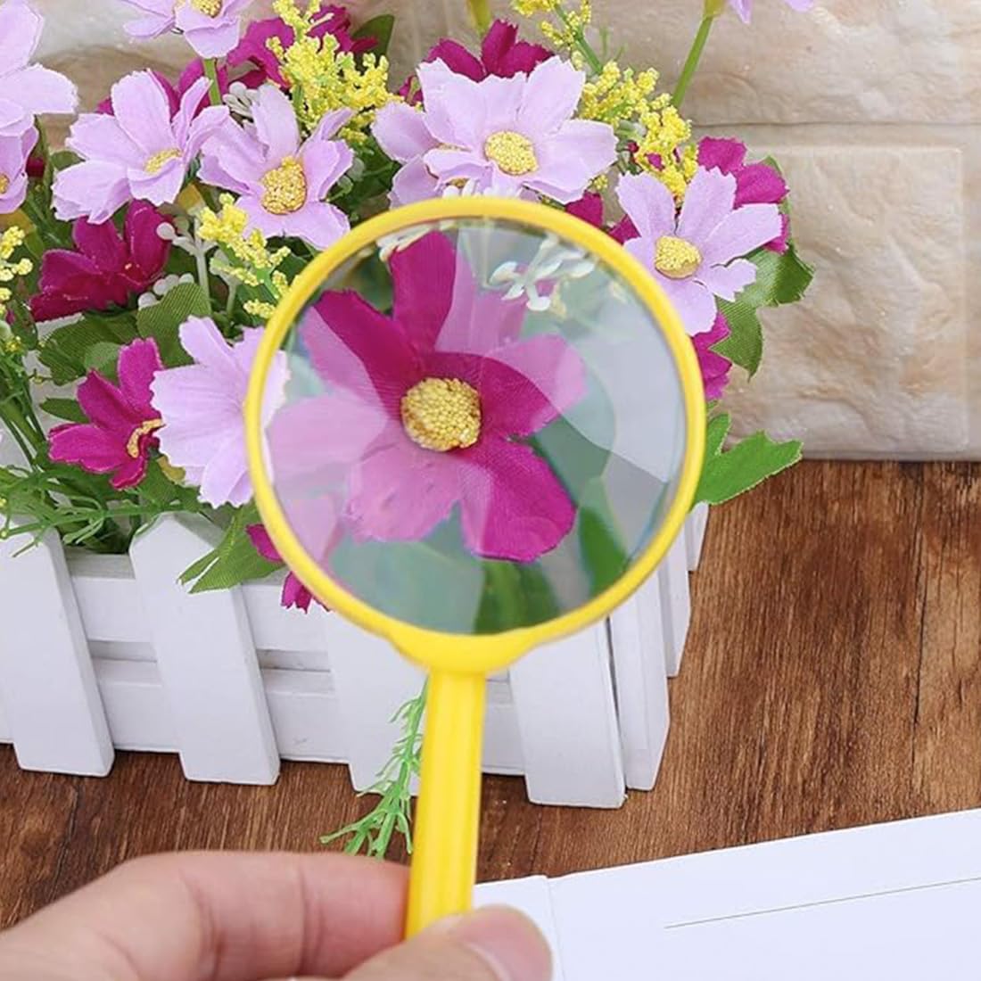 Dilightnews 12 Piezas Lupas de Plástico de Regalo Niños, Lupas de Detective Para Niños, Lupas de Plastico de Mano Niños Portátil, Para Educativos, Niños Pequeños Mano Ciencia Experimento Lupa Dilightnews 12 Piezas Lupas de Plástico de Regalo Niños, Lupas de Detective Para Niños, Lupas de Plastico de Mano Niños Portátil, Para Educativos, Niños Pequeños Mano Ciencia Experimento Lupa