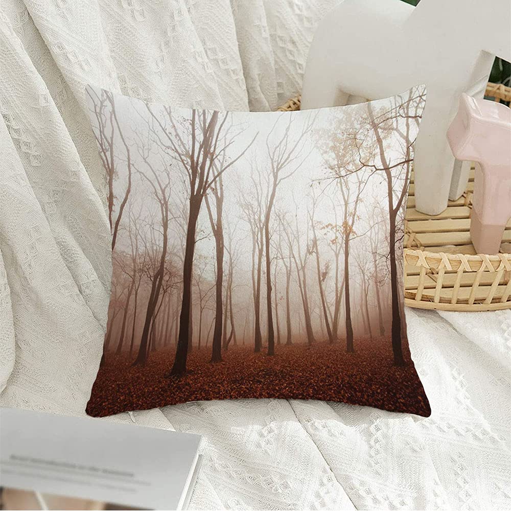 Decorative Throw Pillow Case Park Thicket Smok Taiga in Outdoor Mist Season Trees Haze Thick Fog Forest Fall Nature Beautiful Velvet Cushion Cover for Couch Sofa Bench Home Decoration 20x20 Inch