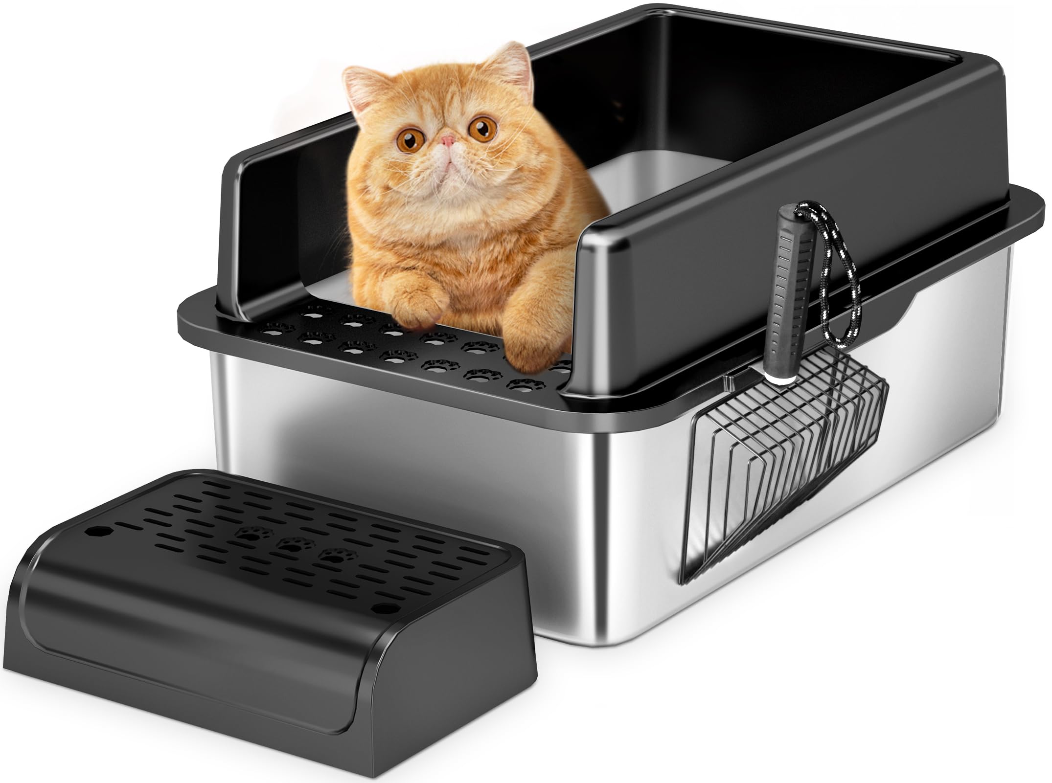 Limpieza Como Hacer Para Que Mi Gato Orine En La Caja De Arena