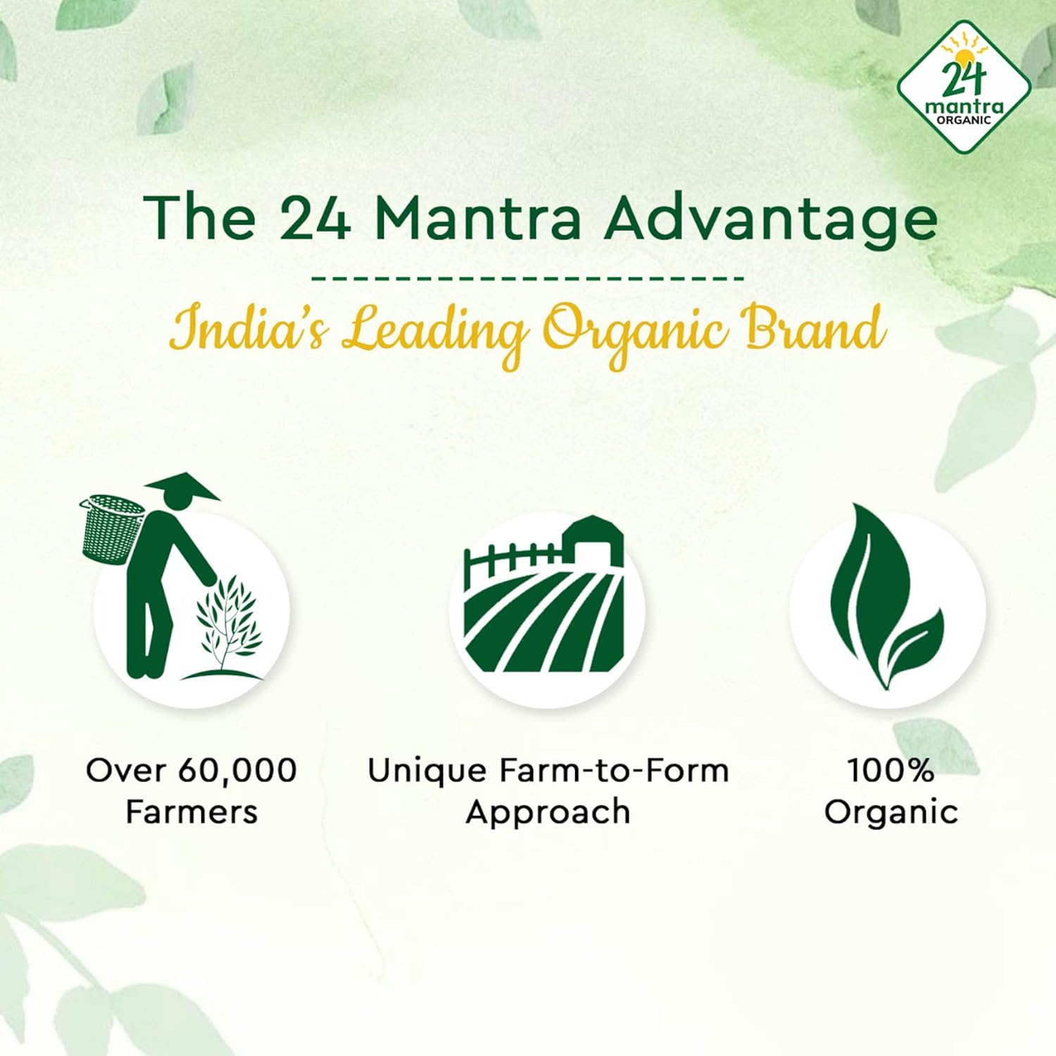 24 Mantra Little Millet