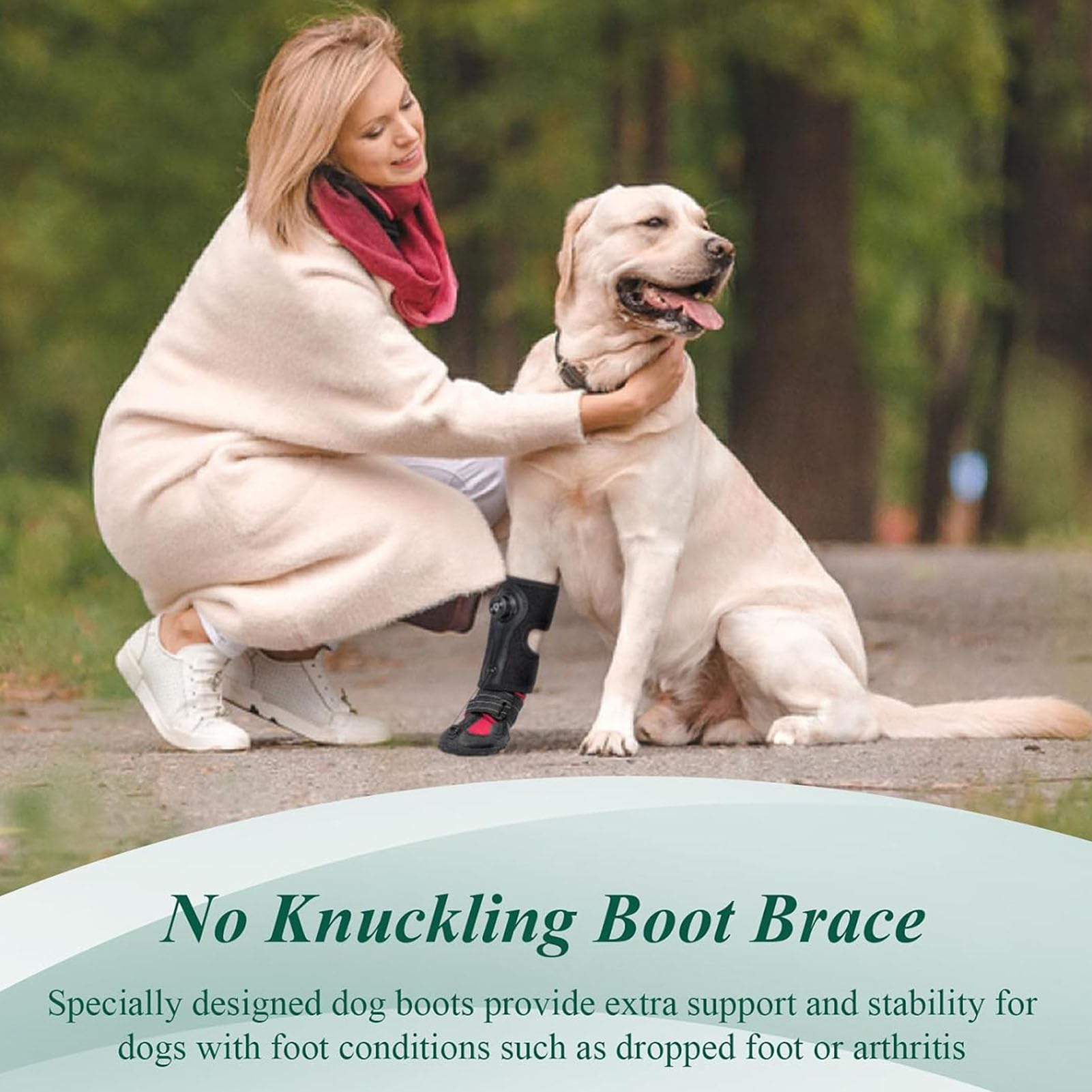 SENECESLI Attelle de Pied Tombante avec Bobine pour Chien, Attelle de Pied de Chien Respirante avec Semelle Antidérapante pour Problèmes de, Arthrite, Chaussette Hautement élastique (M)