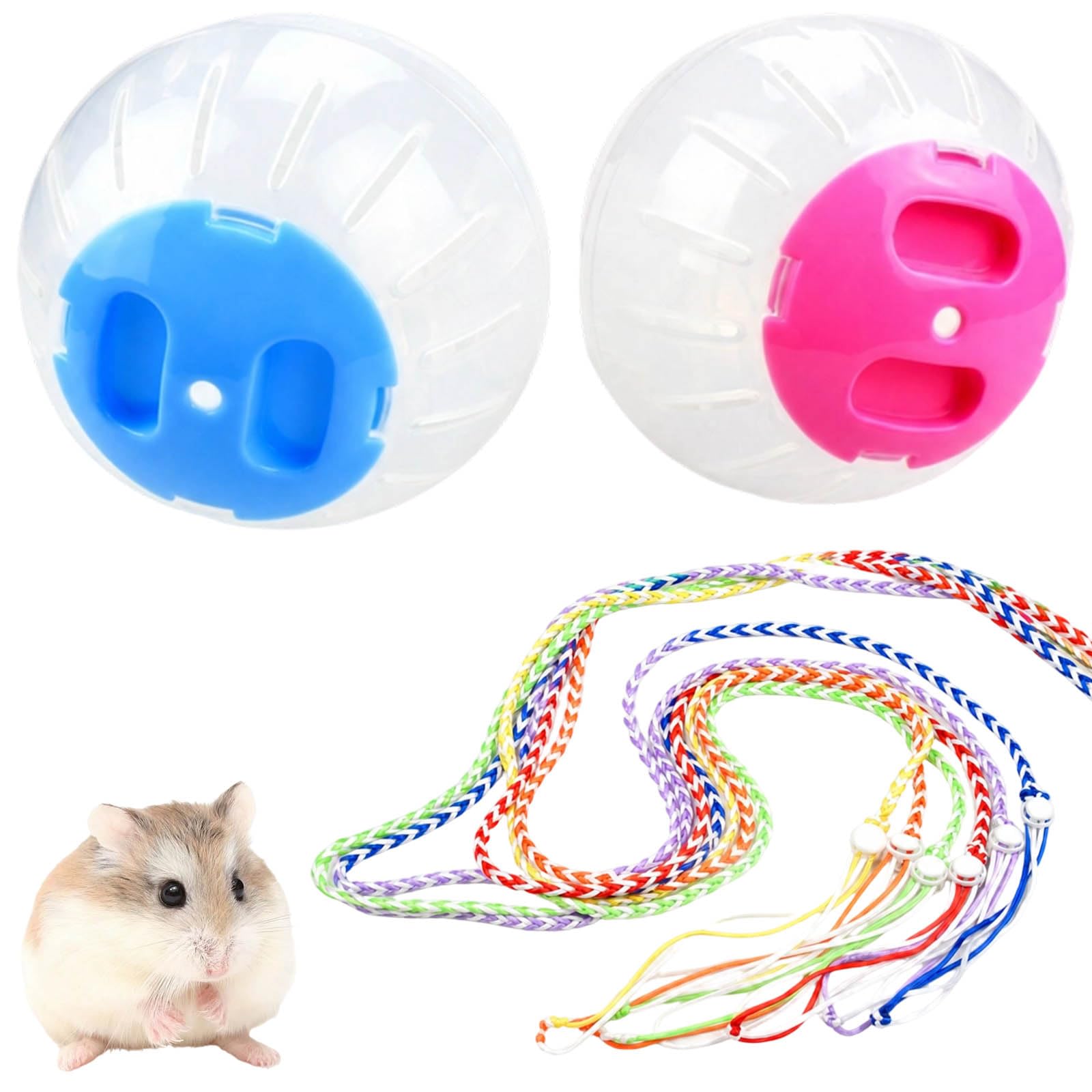 Hamster Ball, 4-Piece Colourful Exercise Set for Small Pets, Indoor Activity Remover with Two Leashes, Suitable for Syrian Hamsters, Dwarf Hamsters, Gerbils, and Ferrets