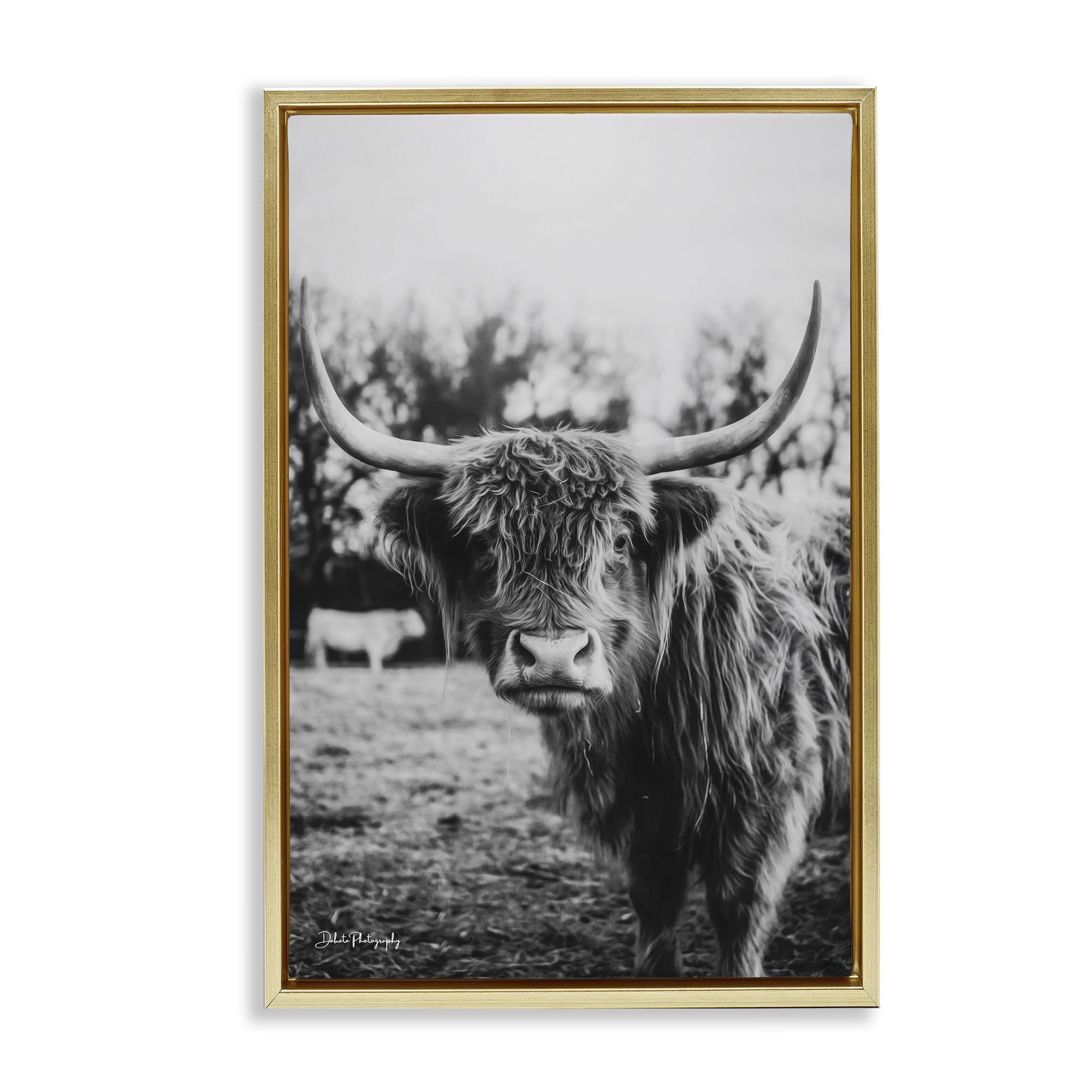 Stupell Industries 'Peering Highland Cattle', Floating Frame Canvas Art, Gold, 21 x 31 Inches, Easy to Hang and Sturdy, Made in USA, by Dakota Diener