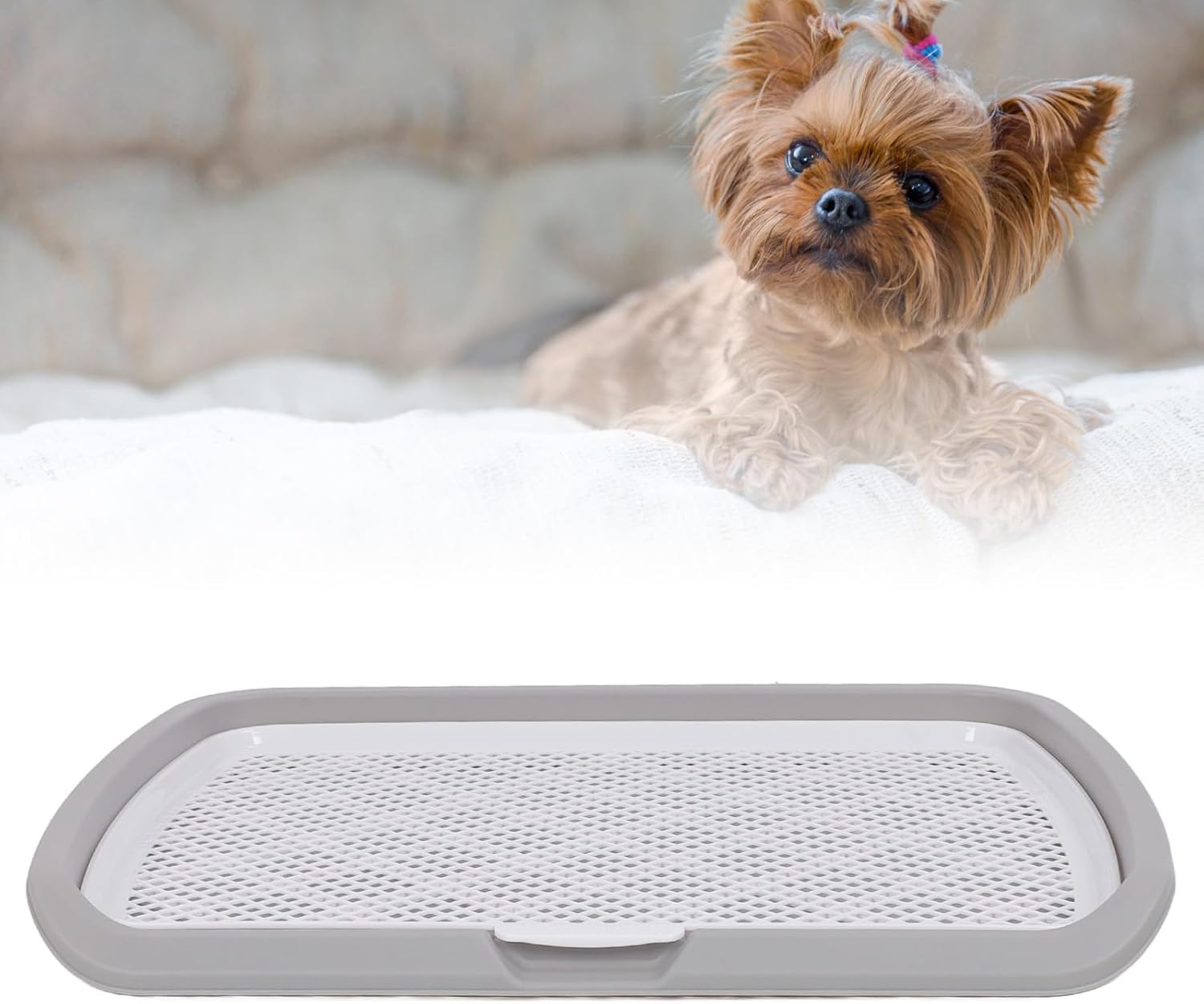 Dog Potty Training Tray, Detachable Washable Mesh Dog Pee Pad Holder Tray, Non Slip Holders (Gray)