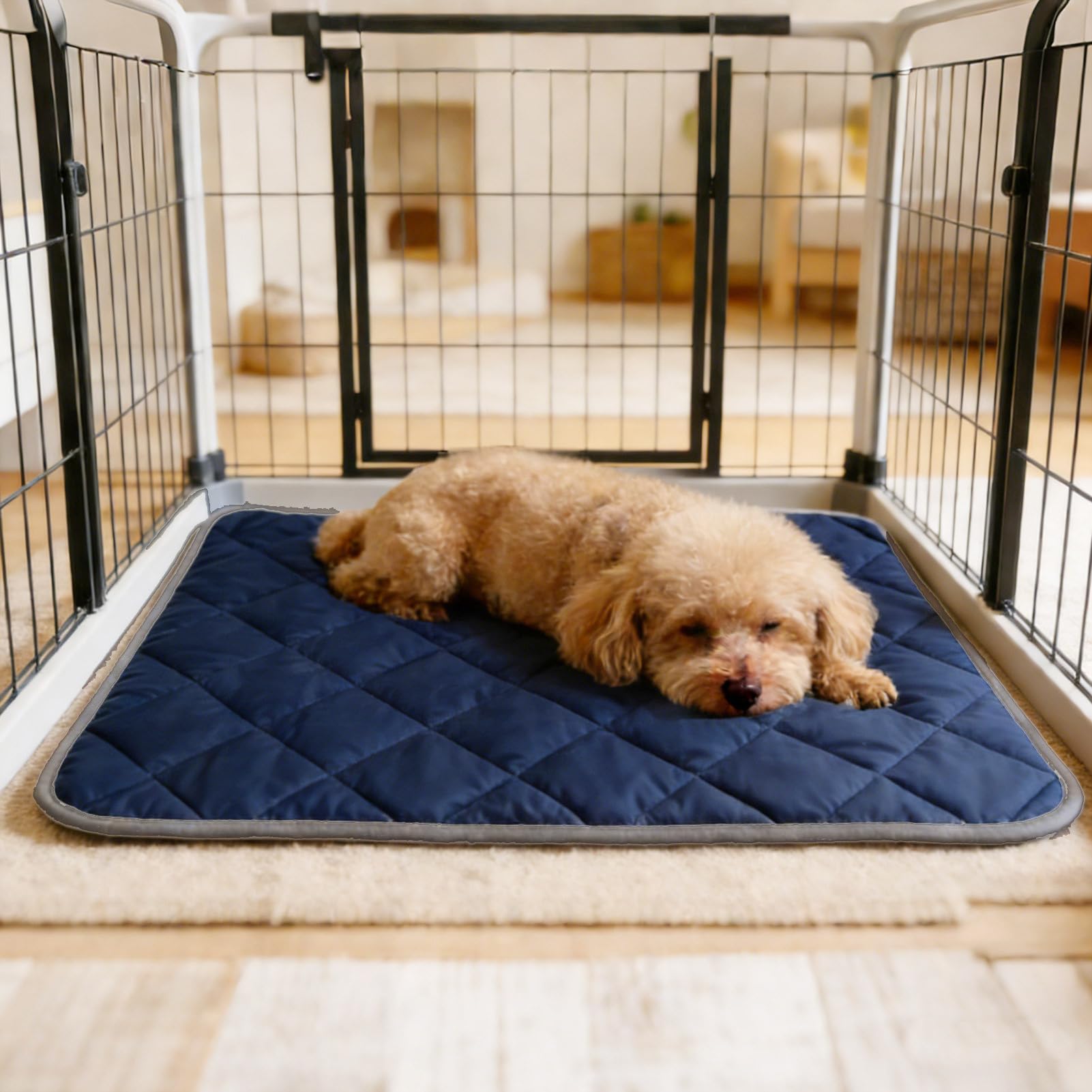 Tapis chauffant pour chat | Pas d'électricité nécessaire – Tapis auto-chauffant à 5 – Pour animaux domestiques, chiens, chats, chatons, intérieur et extérieur, maison, salon, hiver
