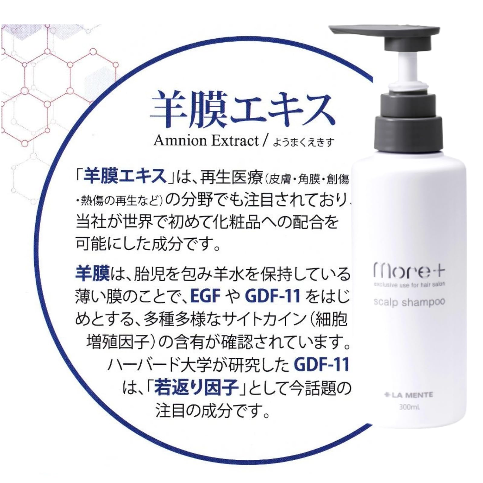 Amazon | モアプラス スカルプシャンプー2個セット （300ml×2個