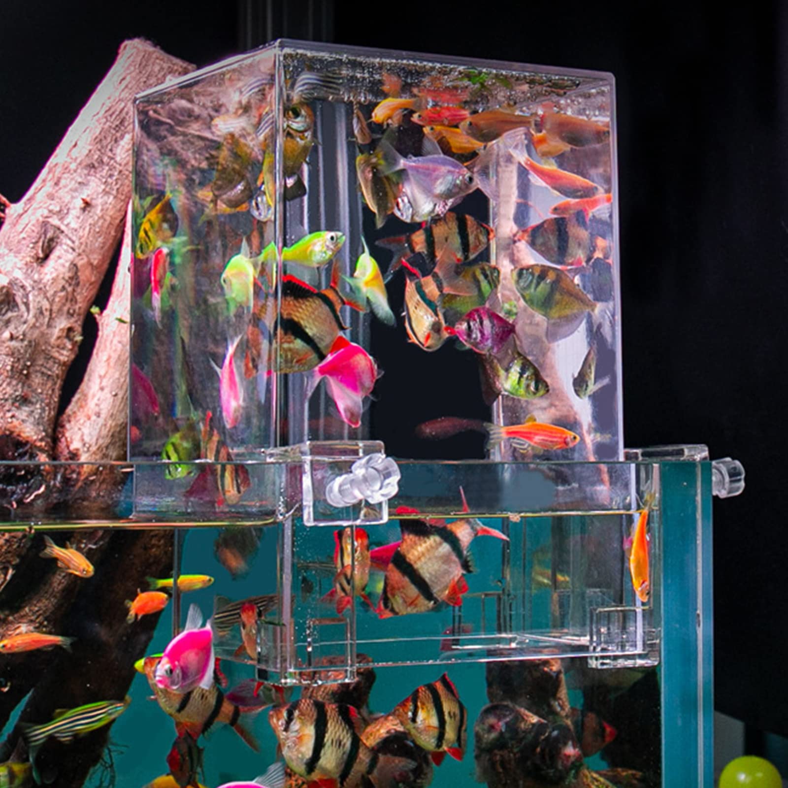 Aquarium Fisch Züchter Box Fisch Isolation Zuchtbox Schlüpfen Zuchtbox Fisch Brutkasten Fisch Brutkasten