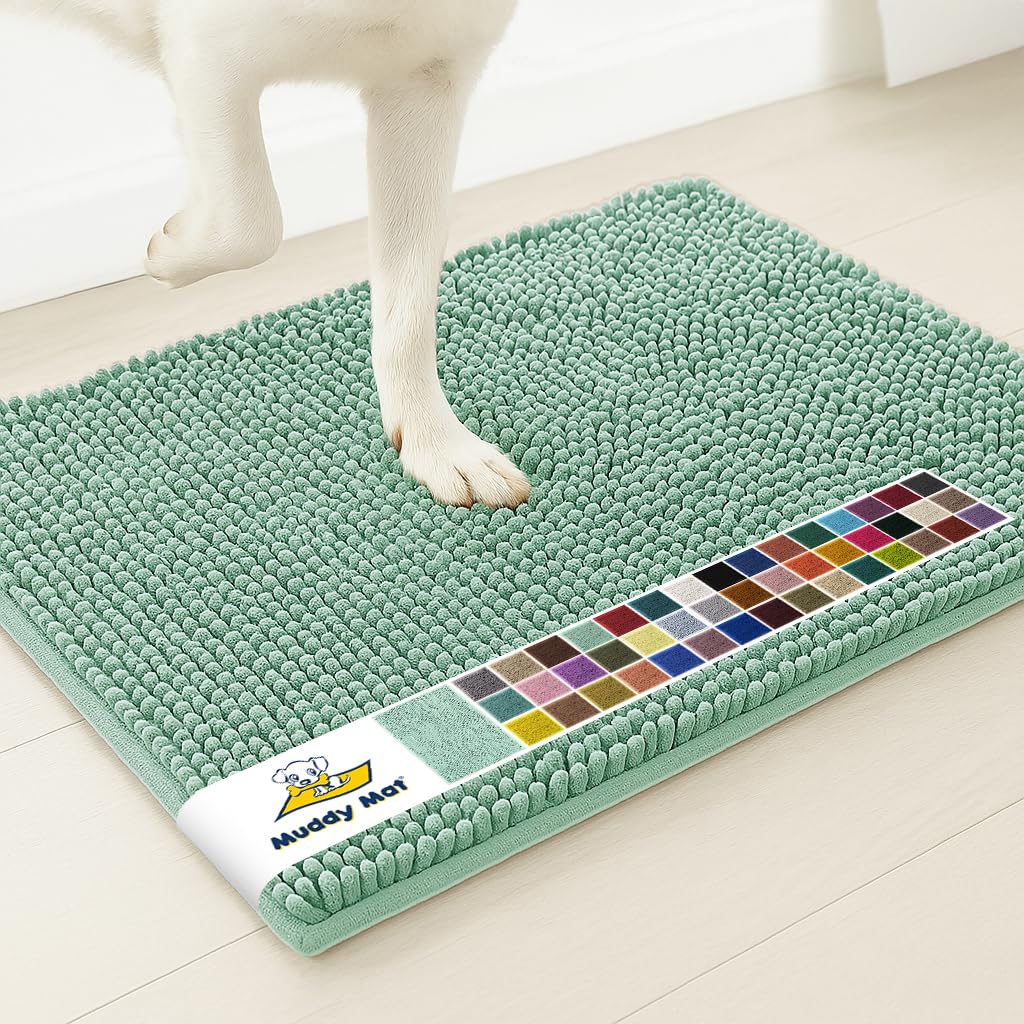 Muddy Mat® | Super Water Absorbent Door Mat Indoor, Microfiber Quick Dry Chenille Entryway Rug, Slip Resistant Front Door Mat, Indoor Mats for Entryway, Machine Washable Pet Rug, Sea Green 2ft x 4ft