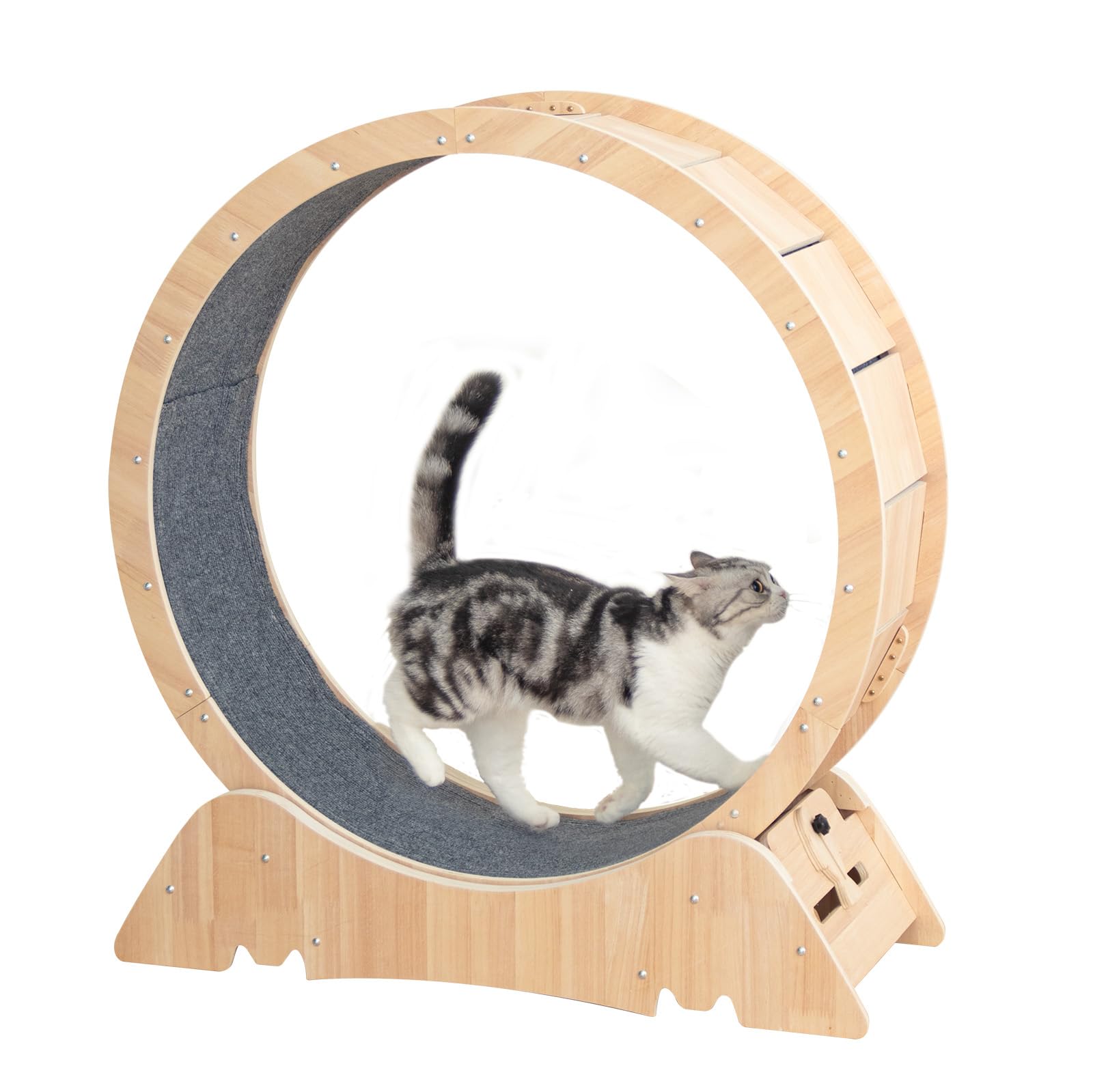 Amazon | LULUCAT キャットホイール キャットランナー 猫 ルーム