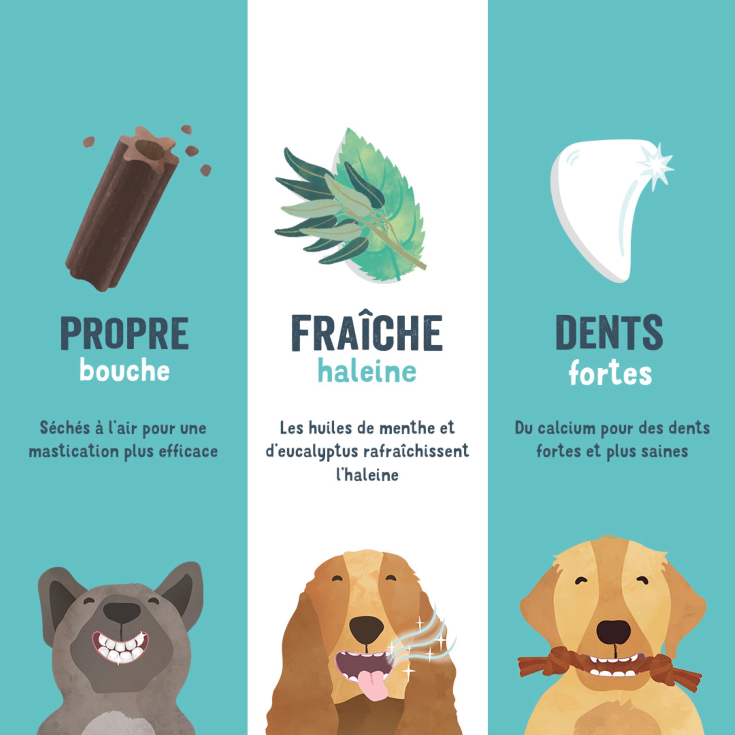 Edgard Cooper Friandises Pour Chien, (Eucalyptus & Pomme, 7 bâtons x 8), Moyen, Un par Jour, Faible en Calorie, Mastication Longue Efficace, Haleine Fraîche