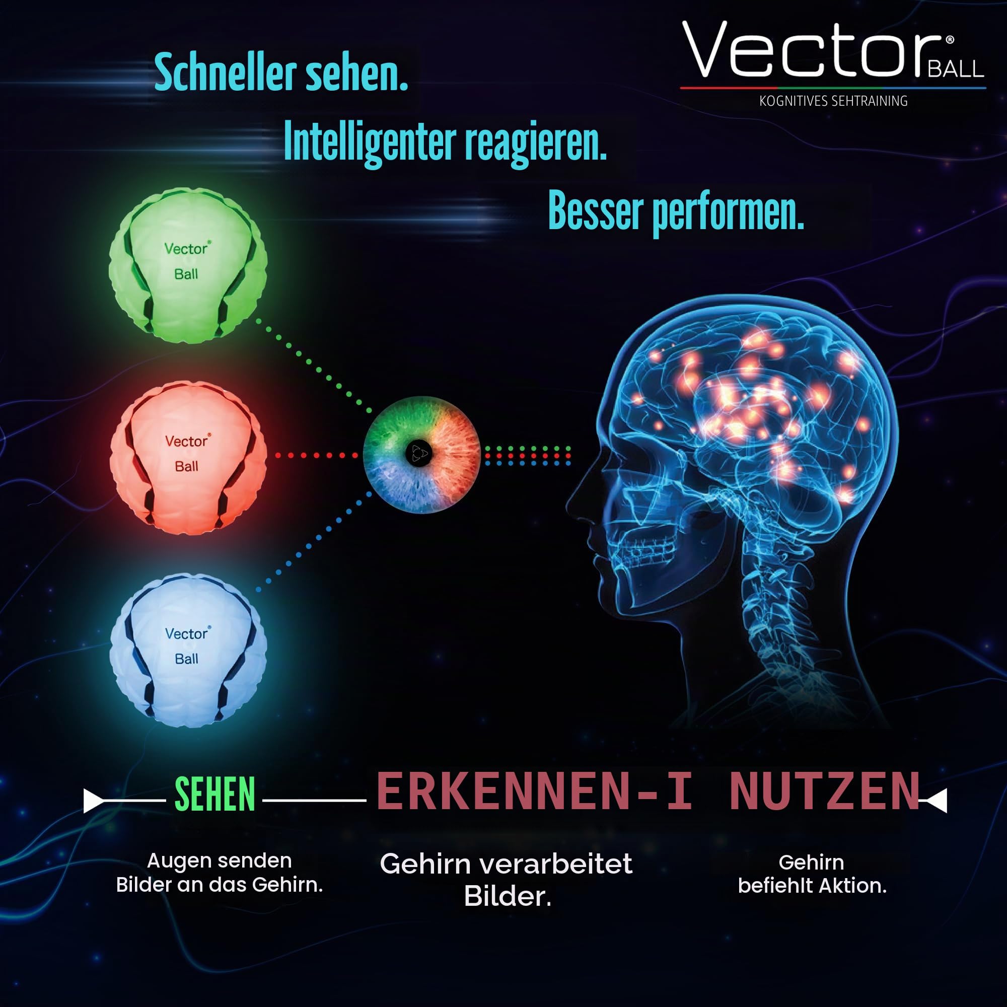 Vector Ball – Neuro-Visueller Reaktionsball zur Verbesserung der Sportgeschwindigkeit, Konzentration und Beweglichkeit – wasserdicht, farbwechselnde Wirkung
