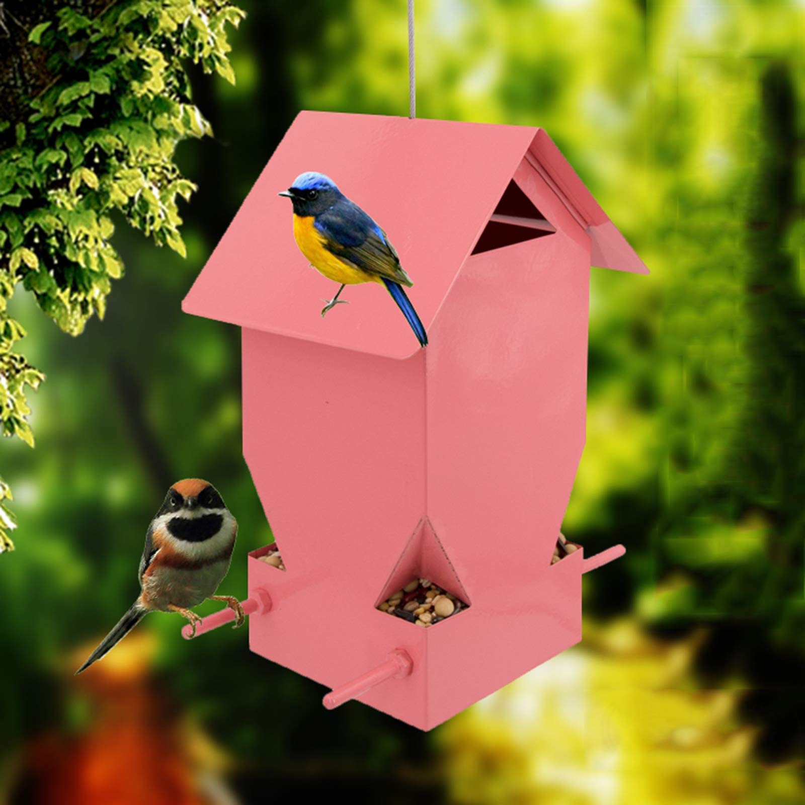 Vogelfutter Station,Edelstahl,zum Aufhängen,Vogelfutterhalter Vogelstation Vogelfutterspender Wildvogel Futterspender Vogel,mit Dach, Kolibri-Feeder mit Barsch, gehören Hängende Drähte,Rot