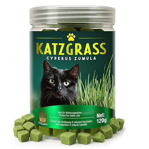 Natural Cat Grass Treats for Indoor Cats | Salmon & Catnip Dental Snacks | Hairball Control & Teeth Cleaning | Freeze-Dried Training Rewards