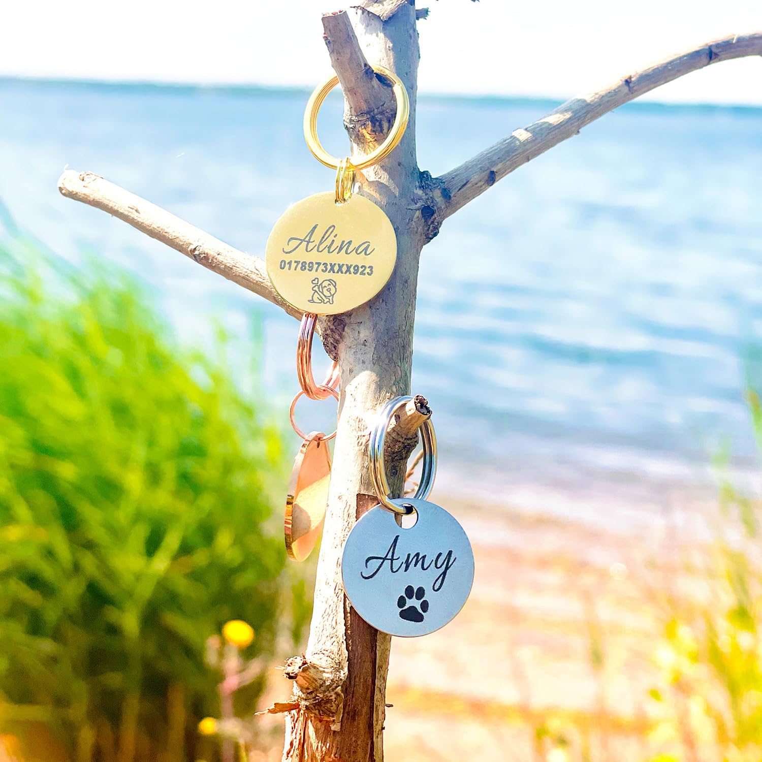 Médaille d’identification personnalisée pour chien en acier inoxydable avec gravure du nom, numéro de téléphone, adresse et date – médaille robuste pour chien – pour Noël et anniversaire